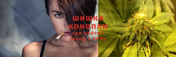 крисы Баксан