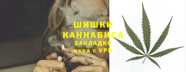 крисы Баксан
