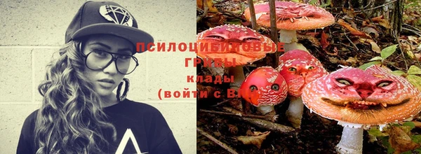крисы Баксан