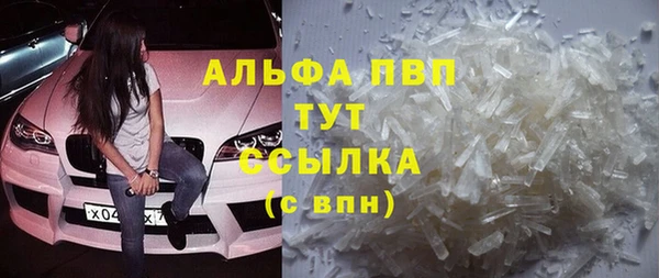 крисы Баксан