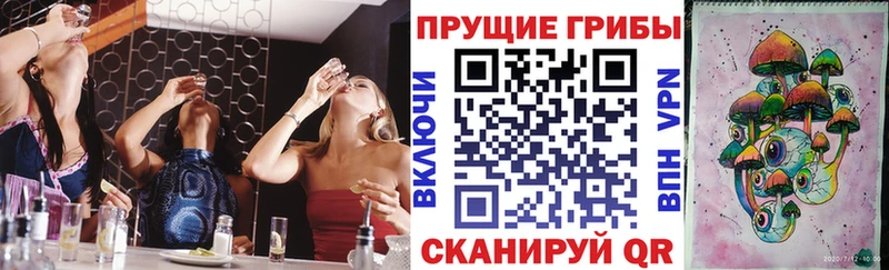 Псилоцибиновые грибы Cubensis  Купить закладки  Полярный 
